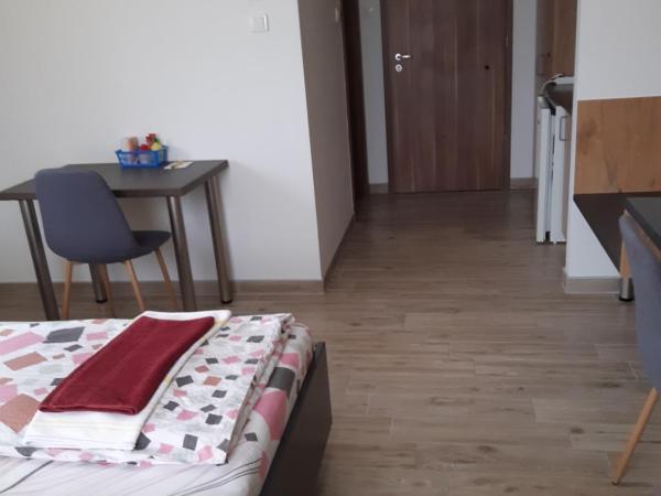 M47 Vendégház-Airport : photo 8 de la chambre appartement