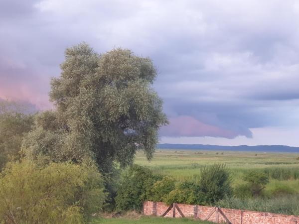 DOM GOŚCINNY PTASZARNIA - Ekologia - Natura - Rewilding : photo 1 de la chambre chambre double avec salle de bains privative