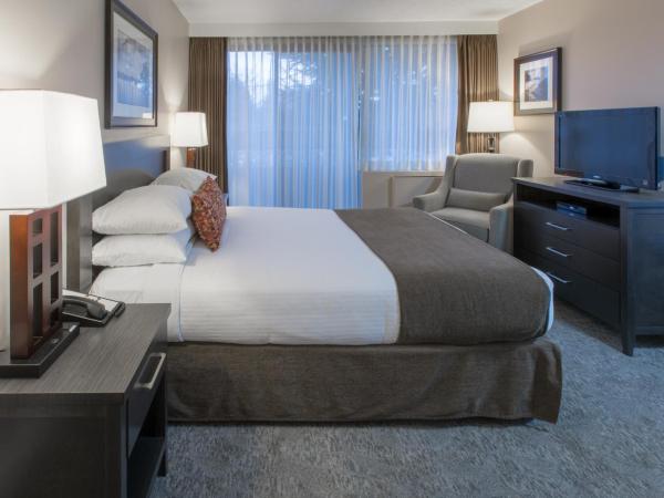 The Embassy Inn : photo 2 de la chambre chambre lit queen-size