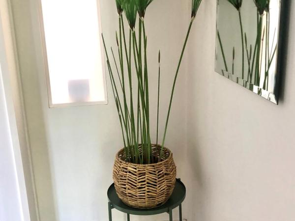 Hotel Style Monterey Guest Studio near Hospitals, Beach and Airport : photo 6 de la chambre studio avec vue sur jardin