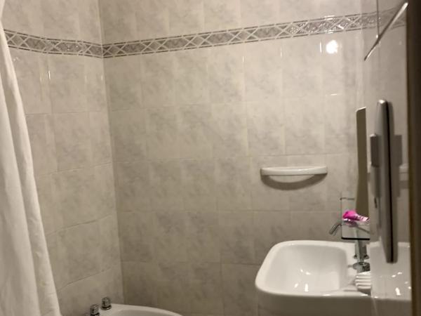 Palace Hotel Mendoza : photo 6 de la chambre chambre simple