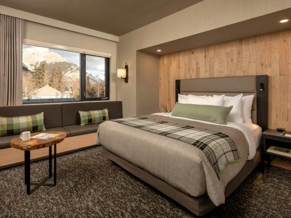 Peaks Hotel and Suites : photo 1 de la chambre standard room, 1 king bed, partial view