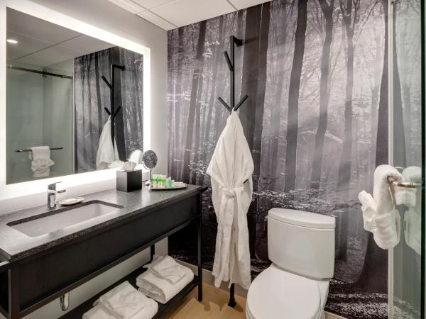 Peaks Hotel and Suites : photo 6 de la chambre suite loft avec balcon