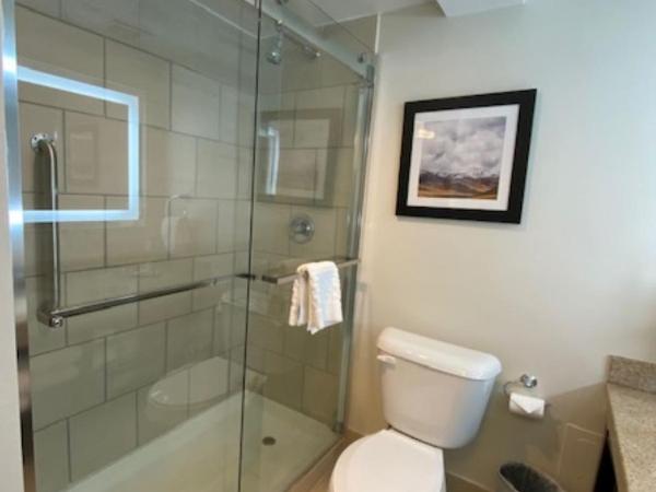 Best Western Premier Denver East : photo 7 de la chambre suite lit king-size avec jacuzzi - côté piscine