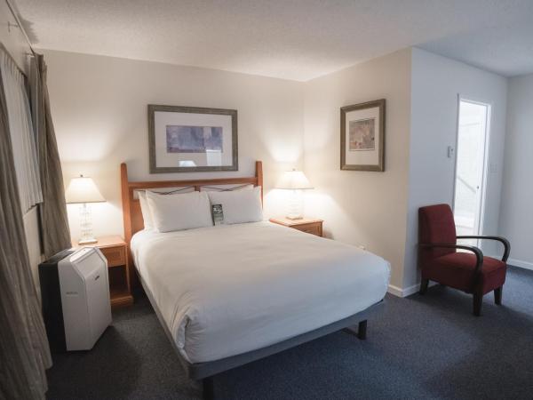 Robin Hood Inn and Suites : photo 2 de la chambre chambre standard lit queen-size