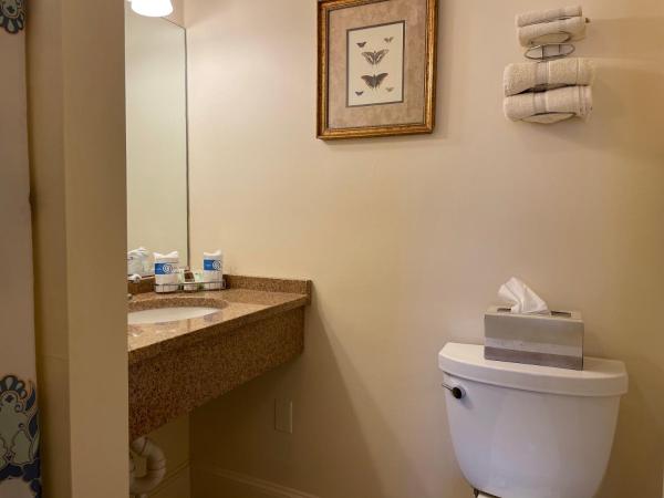 Oasis Guest House : photo 5 de la chambre chambre lit queen-size standard avec salle de bains privative
