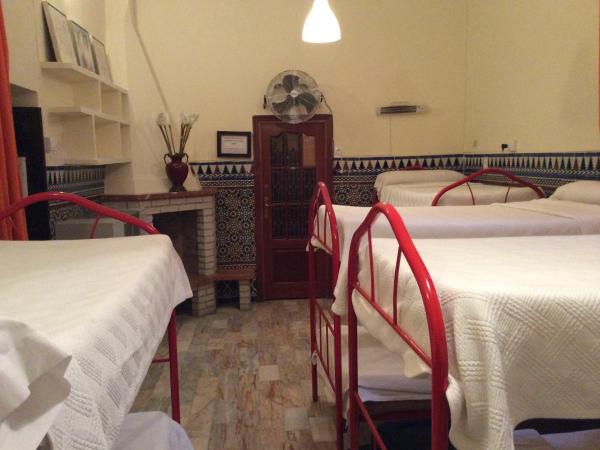 Nuevo Suizo : photo 2 de la chambre lit dans dortoir mixte de 10 lits