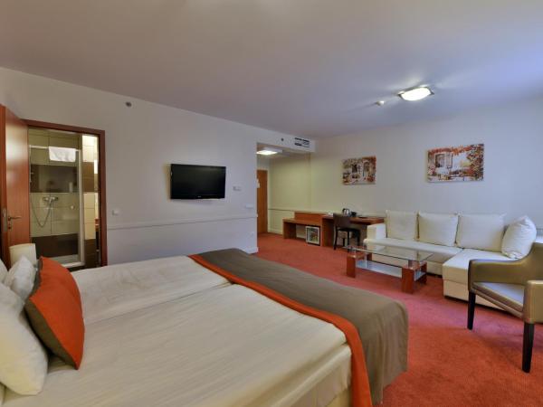 Hotel City Inn : photo 8 de la chambre appartement supérieur