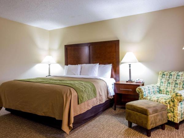 Comfort Inn Columbia-Bush River : photo 8 de la chambre chambre lit king-size - non-fumeurs