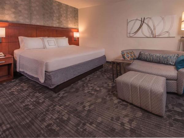 Sonesta Select Arlington Rosslyn : photo 1 de la chambre chambre lit king-size avec canapé-lit