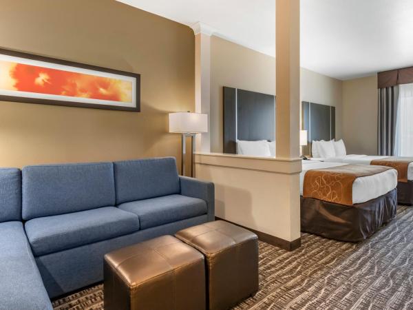Comfort Suites Near Sam Houston Race Park : photo 9 de la chambre suite avec 2 lits queen-size - non-fumeurs