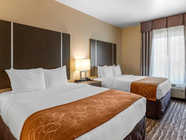 Comfort Suites Northwest Houston At Beltway 8 : photo 5 de la chambre suite avec 2 lits queen-size - non-fumeurs