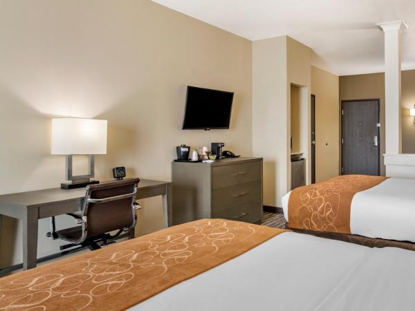 Comfort Suites Northwest Houston At Beltway 8 : photo 6 de la chambre chambre 2 lits queen-size - accessible aux personnes à mobilité réduite - non-fumeurs
