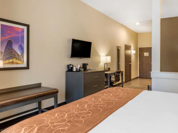 Comfort Suites Near Sam Houston Race Park : photo 3 de la chambre suite avec lit king-size pour personnes à mobilité réduite - non-fumeurs