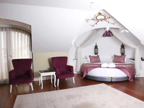 Hurry Inn Merter Istanbul : photo 6 de la chambre suite deluxe avec lit king-size
