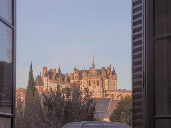 Hotel Spa - Au Charme Rabelaisien : photo 3 de la chambre chambre double - vue sur jardin
