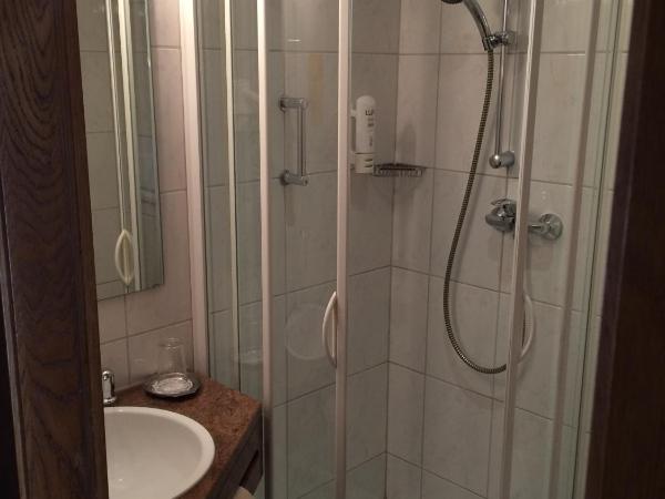 Hotel Neumayr : photo 6 de la chambre chambre simple