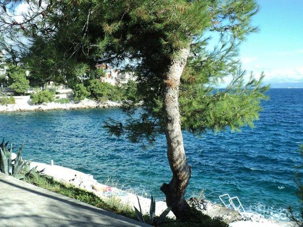 Apartments Lukić 1944 : photo 7 de la chambre appartement