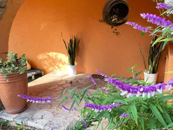 Lou Candelou : photo 6 de la chambre chambre double avec douche - vue sur jardin - soleil