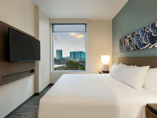 Hyatt House Atlanta Perimeter Center : photo 3 de la chambre suite 1 chambre lit king-size avec canapé-lit et cuisine