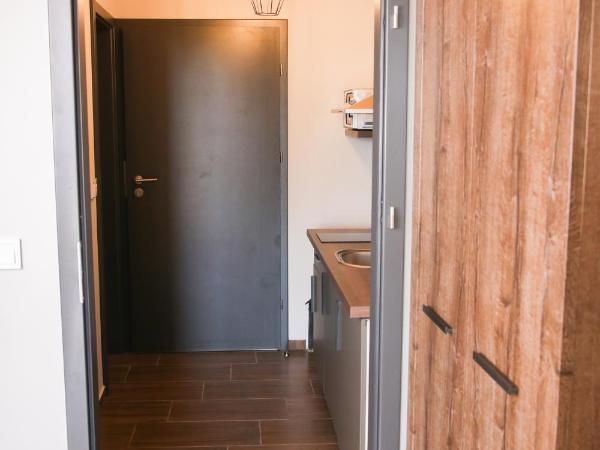 Balkon Apartmanház Panzió : photo 5 de la chambre appartement avec terrasse