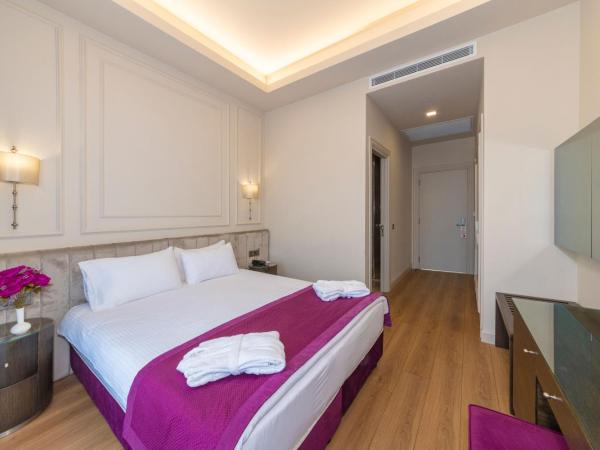 The Hotel Beyaz Saray & Spa - Special Category : photo 5 de la chambre chambre confort avec balcon - vue sur ville