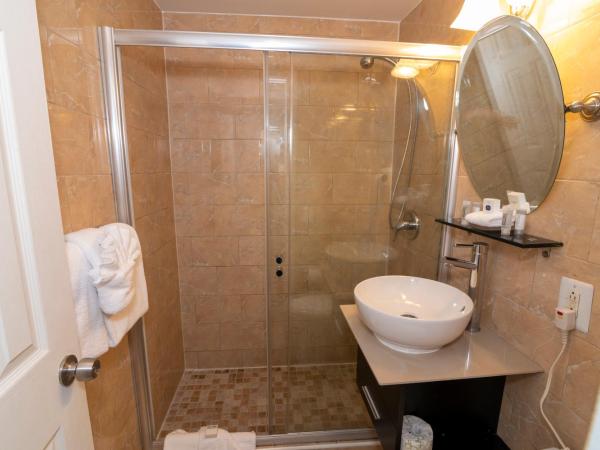 San Juan Hotel Miami Beach : photo 6 de la chambre chambre double deluxe