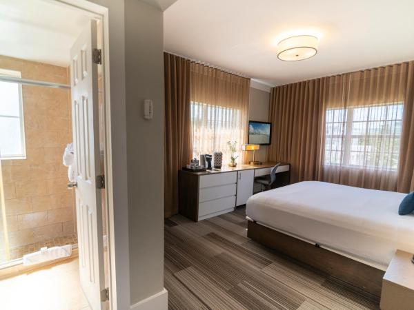 San Juan Hotel Miami Beach : photo 8 de la chambre hébergement lit king-size de luxe – vue sur piscine