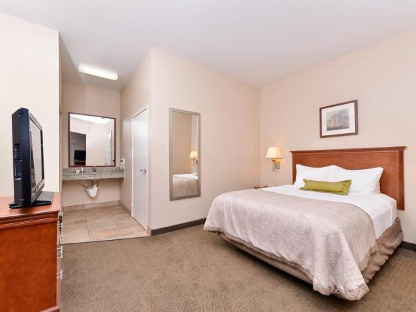 Candlewood Suites San Diego, an IHG Hotel : photo 1 de la chambre suite 1 chambre avec douche accessible en fauteuil roulant