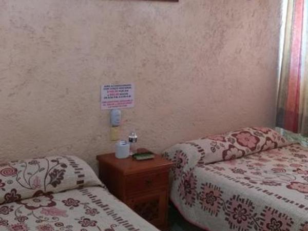 Hotel y Bungalows Olivares : photo 2 de la chambre bungalow standard