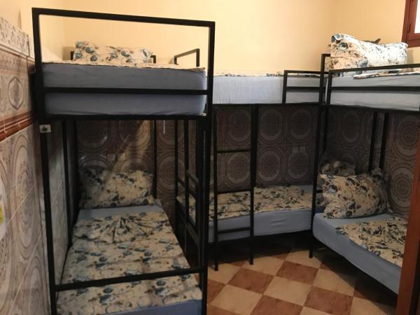 Hostel Dream belko : photo 8 de la chambre lit superposé dans dortoir pour femmes 