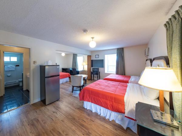 Choice Inn by the falls : photo 1 de la chambre suite familiale