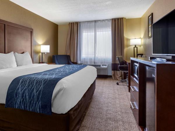 Comfort Inn & Suites Alameda at Albuquerque Balloon Fiesta Park : photo 3 de la chambre chambre lit king-size
