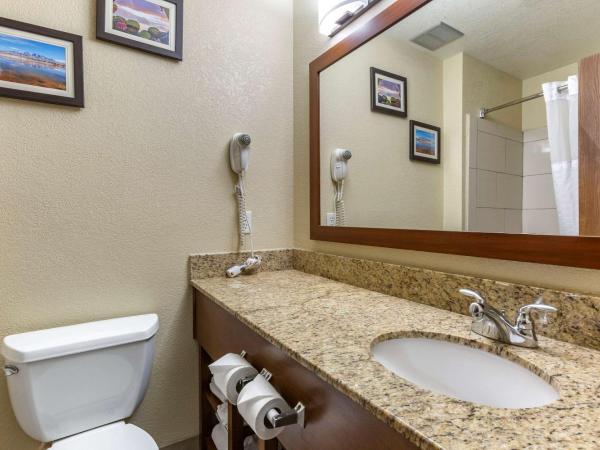 Comfort Inn & Suites Alameda at Albuquerque Balloon Fiesta Park : photo 4 de la chambre chambre lit king-size