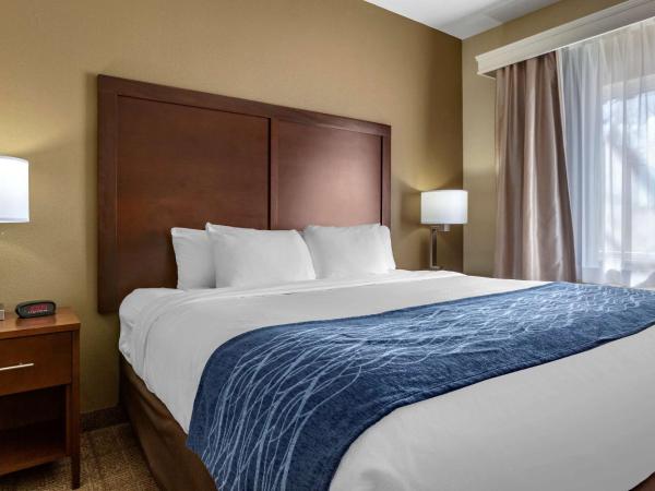 Comfort Inn & Suites Alameda at Albuquerque Balloon Fiesta Park : photo 1 de la chambre suite lit king-size – non-fumeurs