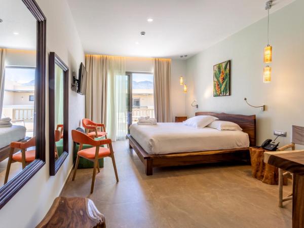 Elysian Luxury Hotel and Spa : photo 7 de la chambre chambre double ou lits jumeaux supérieure - vue sur jardin