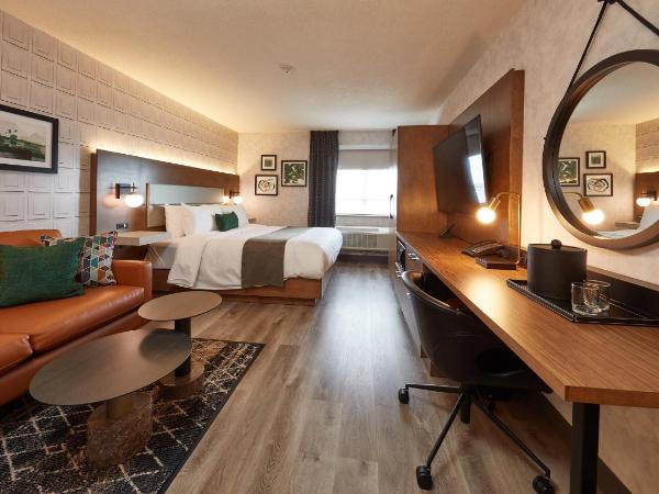 Stay Inn Hotel Toronto : photo 7 de la chambre chambre lit king-size affaires - entièrement rénovée en 2021