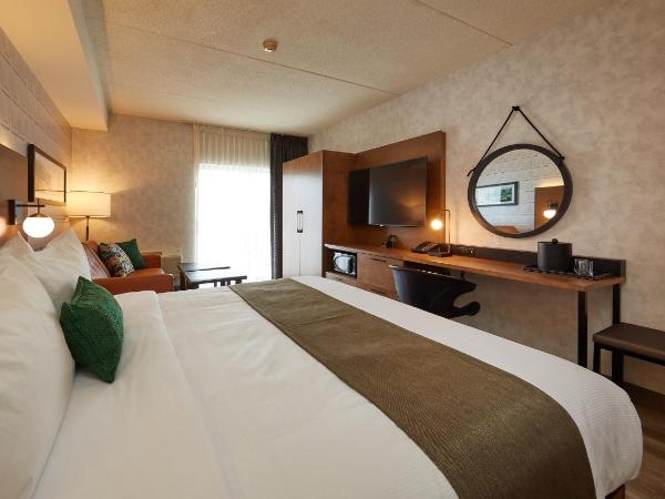 Stay Inn Hotel Toronto : photo 9 de la chambre chambre lit king-size affaires - entièrement rénovée en 2021