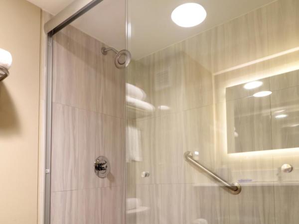 Holiday Inn Express Guadalajara Aeropuerto, an IHG Hotel : photo 1 de la chambre chambre lit king-size