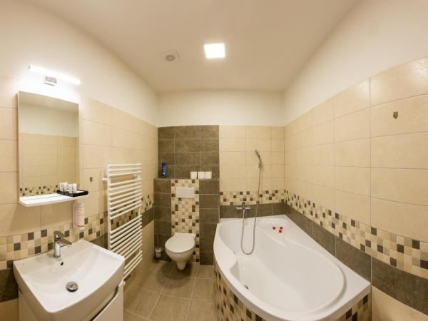 Penzion Start Ostrava : photo 5 de la chambre suite familiale