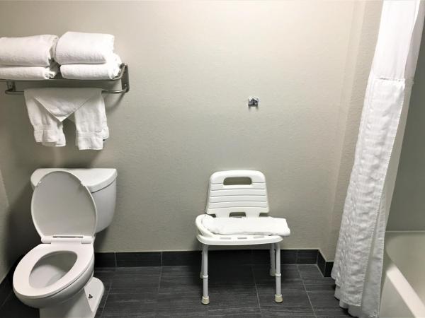 Comfort Suites Nashville Airport - BNA : photo 2 de la chambre chambre double - accessible aux personnes à mobilité réduite