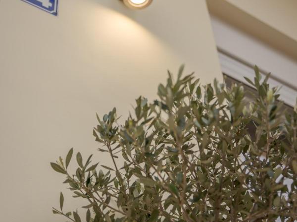 The 3 Brothers' Apts : photo 10 de la chambre studio lit king-size avec canapé-lit