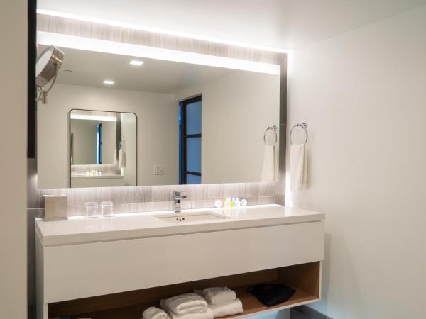 The Windsor Suites Philadelphia : photo 3 de la chambre studio premium lit king-size