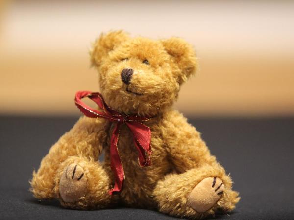 Hågadalens Hostel & Vandrarhem : photo 3 de la chambre twin room - bed linen included