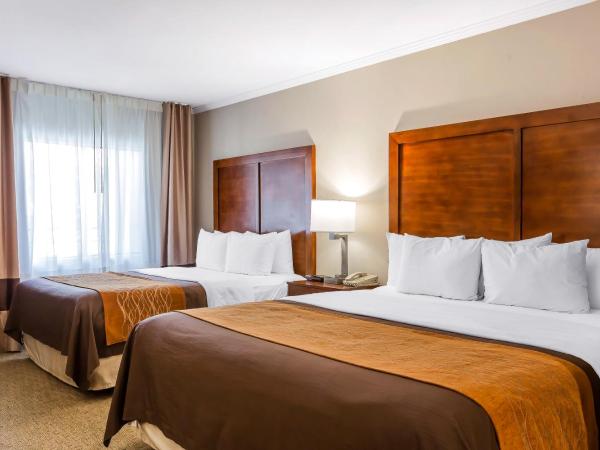 Comfort Inn Santa Monica - West Los Angeles : photo 1 de la chambre chambre standard avec lit king-size et lit queen-size - non-fumeurs