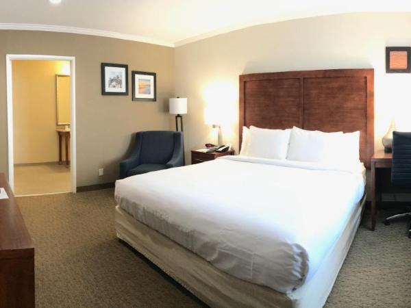 Comfort Inn Santa Monica - West Los Angeles : photo 2 de la chambre chambre lit king-size standard avec baignoire accessible aux personnes à mobilité réduite - non-fumeurs