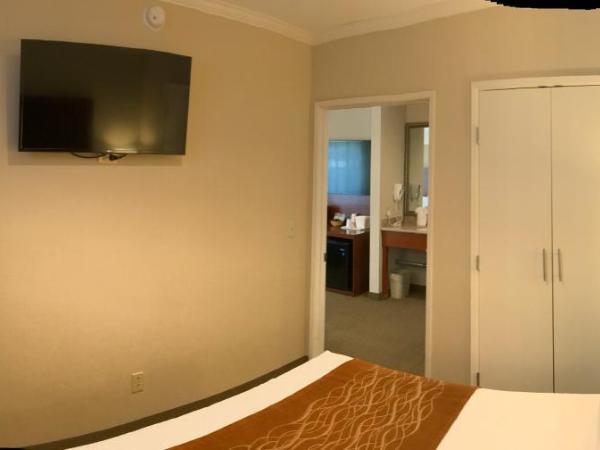 Comfort Inn Santa Monica - West Los Angeles : photo 6 de la chambre chambre familiale avec lit king-size, lit queen-size et canapé-lit - non-fumeurs