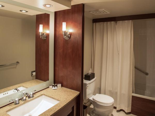 Hôtel Le Bonne Entente : photo 5 de la chambre hébergement lit queen-size affaire