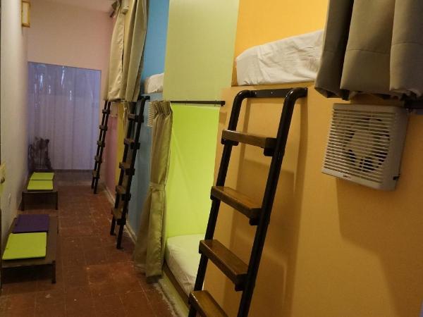 Thirty Three Stewart Houze : photo 3 de la chambre dortoir de 6 lits simples