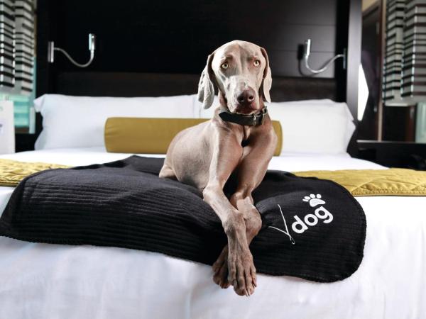 Vdara Hotel & Spa at ARIA Las Vegas : photo 6 de la chambre studio v dog